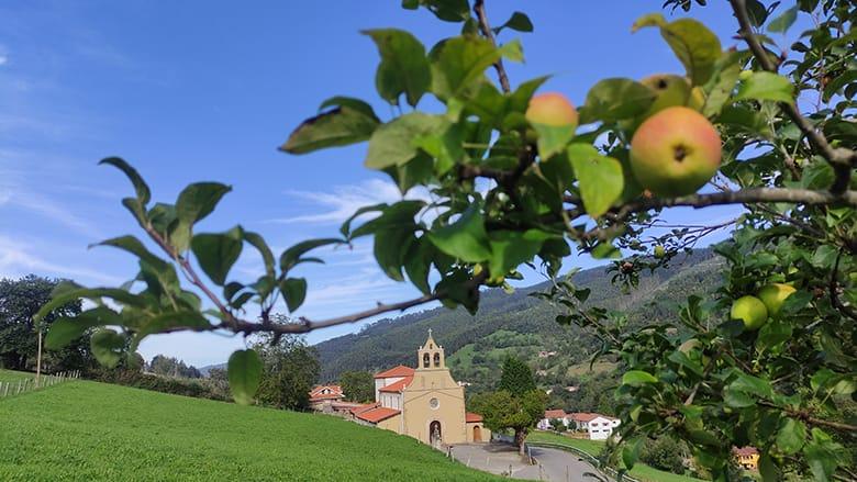 Image of the Church of Santa María de Candanal