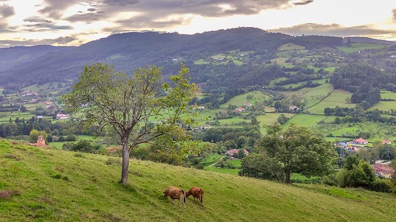 Image of the Pion Valley and Candanal