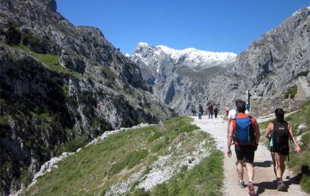 Imagen Mª Luna Adrados González