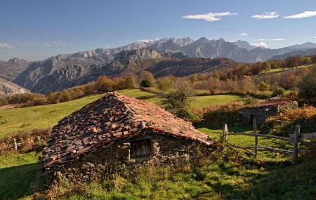 Hut on the route of the forest of Peloño - Las Bedules - Ponga