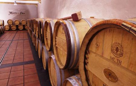 Monasterio de Corias Winery