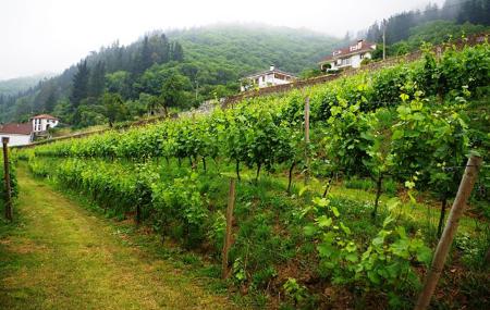 Monasterio de Corias Winery