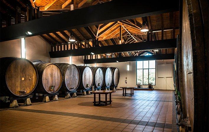 Castañón Apfelwein Apfelweinmühle