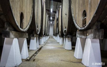 Llagar Vda de Angelón outside