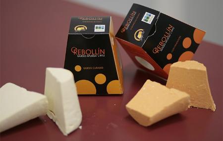 El Rebollín artisan cheeses