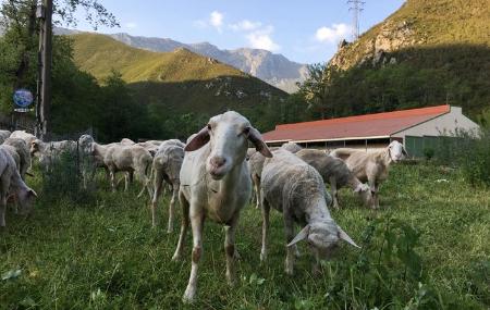 Imagen El Cabriteru Cheese Factory