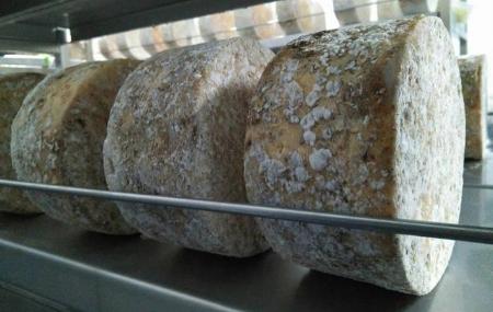 Cheese ripening El Cabriteru