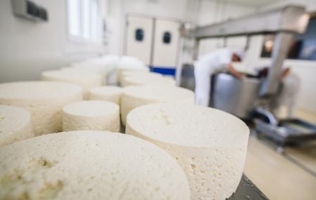 Vega de Tordín Cheese Factory