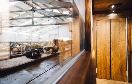 Imagen Vega de Tordín Cheese Factory