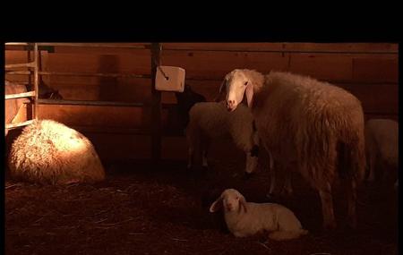 Demués Cheese Factory 2