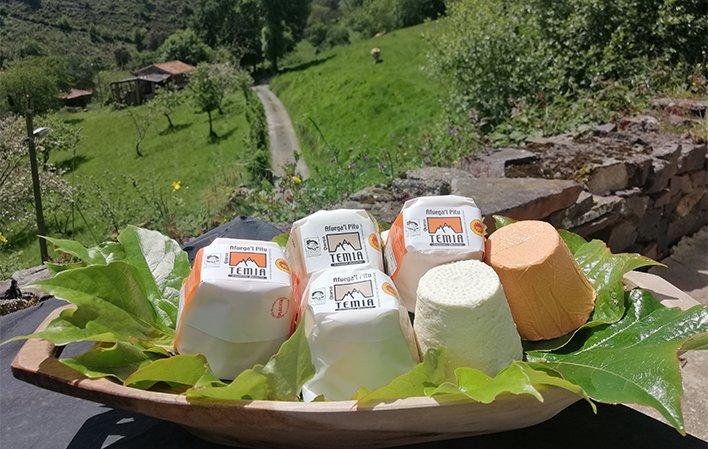 Temia Cheese Factory
