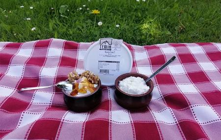 Barreña made by the Temia cheese factory