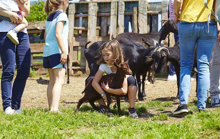 Los Caserinos Cheese Factory