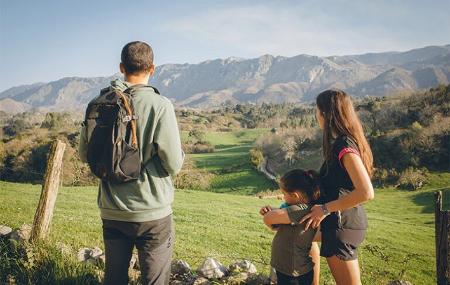 Cheese dairy Leche Leche