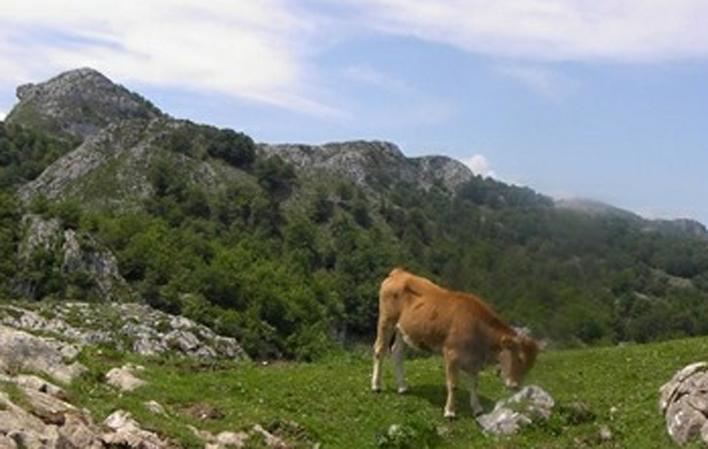 Go to Image Mountain House