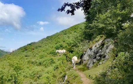 GR109 Tappa 9 Melendreros - Entralgo