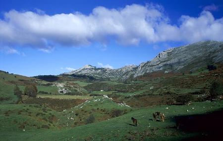 Picco Caldoveiro, Teverga