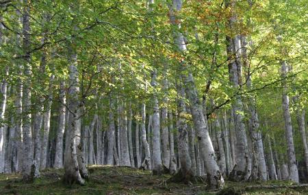 GR109 Stage 11 Bello - Santibáñez de Murias