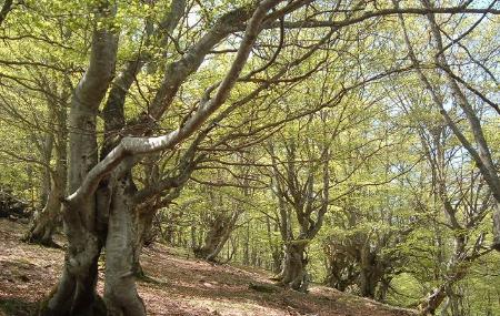 Imagen Stage 14: Chanuces - Bárzana