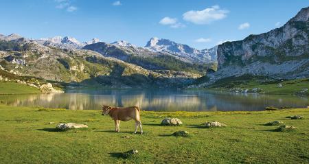 Image Para visitar los Lagos de Covadonga en el Puente de la Constitución habrá que comprar los billetes con antelación