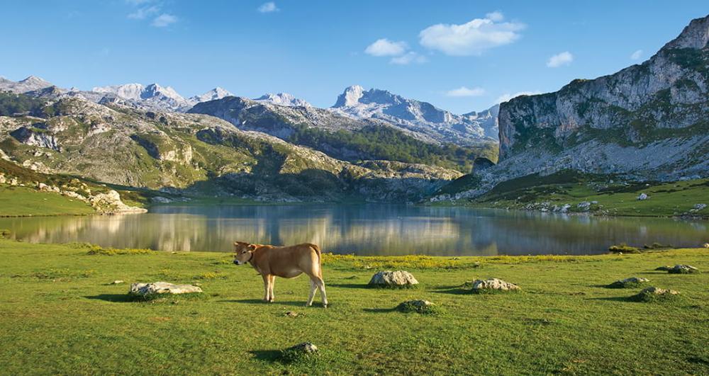 Imagen Para visitar los Lagos de Covadonga en el Puente de la Constitución habrá que comprar los billetes con antelación
