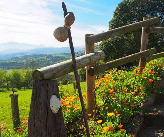 Image of the panoramic views from the San Juan Villapañada pilgrims' hostel in the council of Grado.