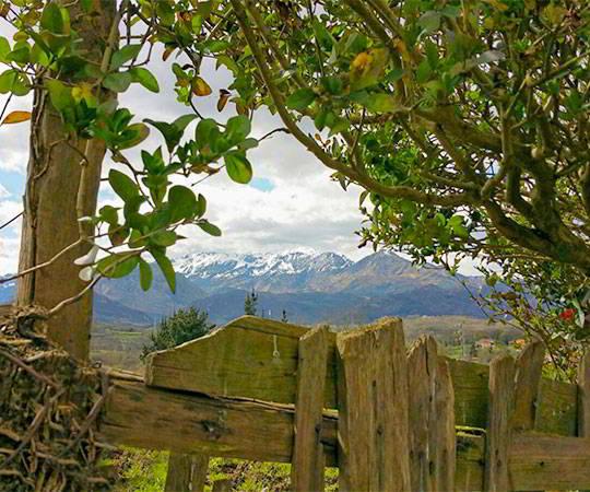 Image of the Sierra del Aramo from an area with an old wooden fence in La Manxoya in the council of Oviedo.