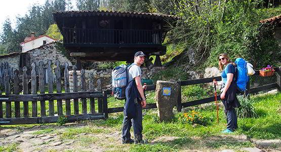 image of pilgrims on a stretch of the Camino.