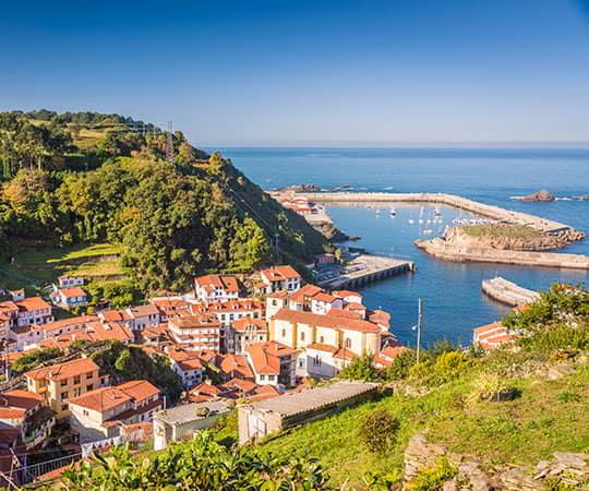 Vista panorámica del pueblo marinero de Cudillero en el que se ve en primer plano las casas de alrededor del puerto y su entorno.