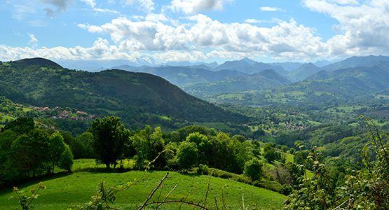 Panoramic image of the Borines Valley in the council of Piloña.