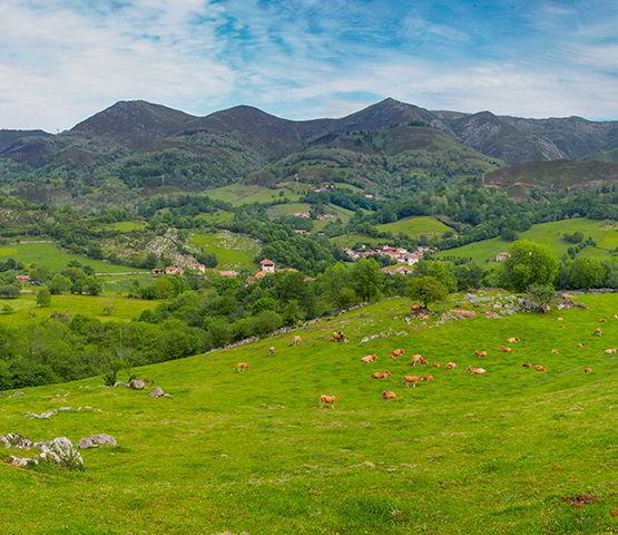 Image of a panoramic view of the village of Sirviella in the council of Onís.
