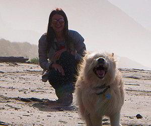 Image Getting around Asturias