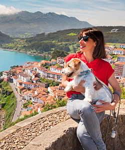 Image Pet-friendly guide to good practice