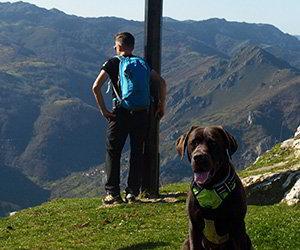 Image Trip preparations