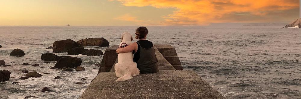 Image of a person with his dog on a breakwater looking out to sea.