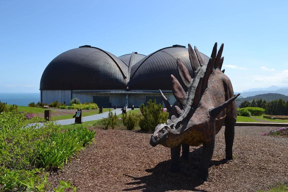 Image Museums and facilities