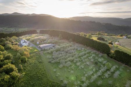 Imagen Pomarada by José Antonio Lebredo