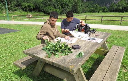 Taller de identificación de flora y elaboración de herbario