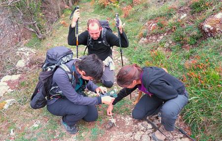 Participantes tomando medidas de un excremento de lobo