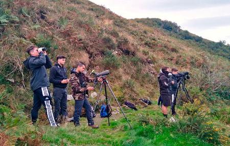 Grupo de observadores