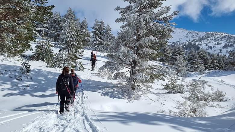 Image of a group of people walking with snowshoes through a snowy landscape in the council of Caso.