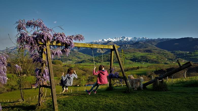 Outdoor garden of a rural house
