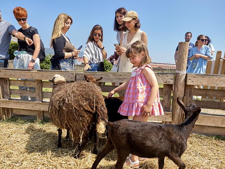 Image of the family farm Los Caserinos