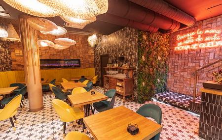 Imagen Der Lese-Affe