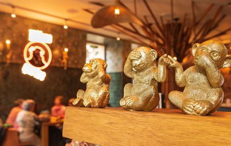 Der Affe, der Zahlen liest