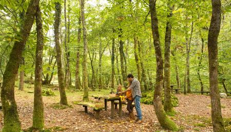 Imagen Hiking with the family: 6 routes with recreational areas in Asturias