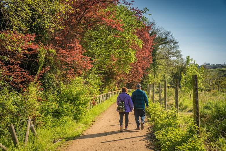 Image of the Piles River Path