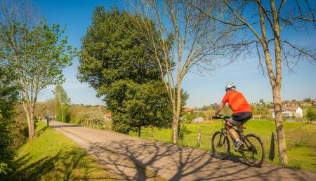 Imagen Discover the best Greenways and Paths in Gijón