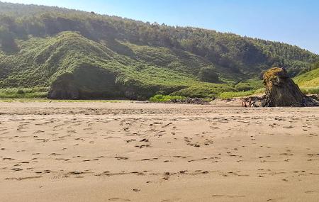 Playón de Bayas / Sablón