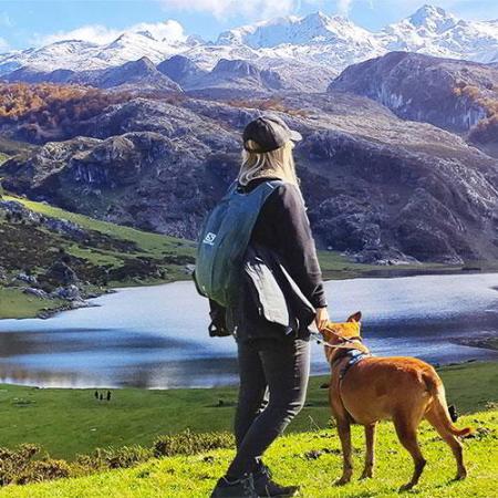 Image Nature with your pet